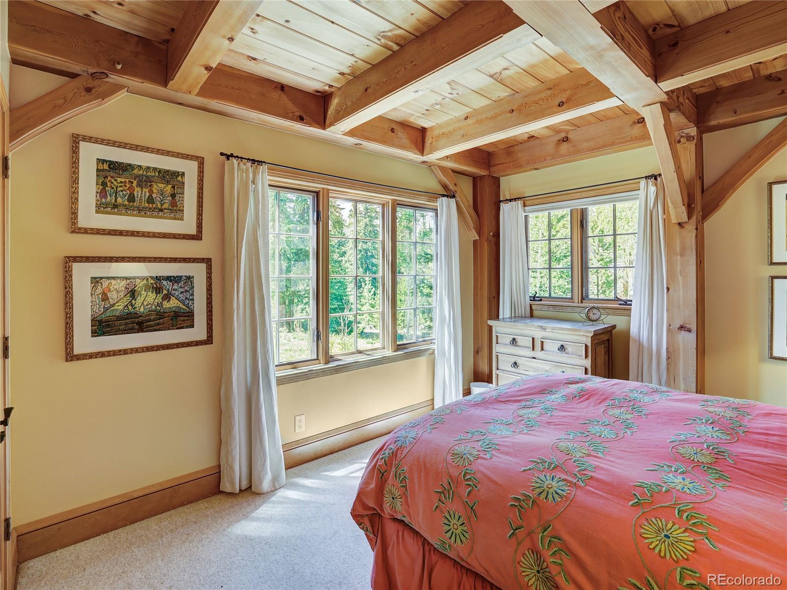 MLS Image #21 for 840  penstemon road,dillon, Colorado