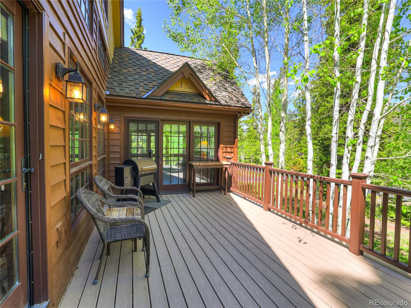 MLS Image #6 for 840  penstemon road,dillon, Colorado
