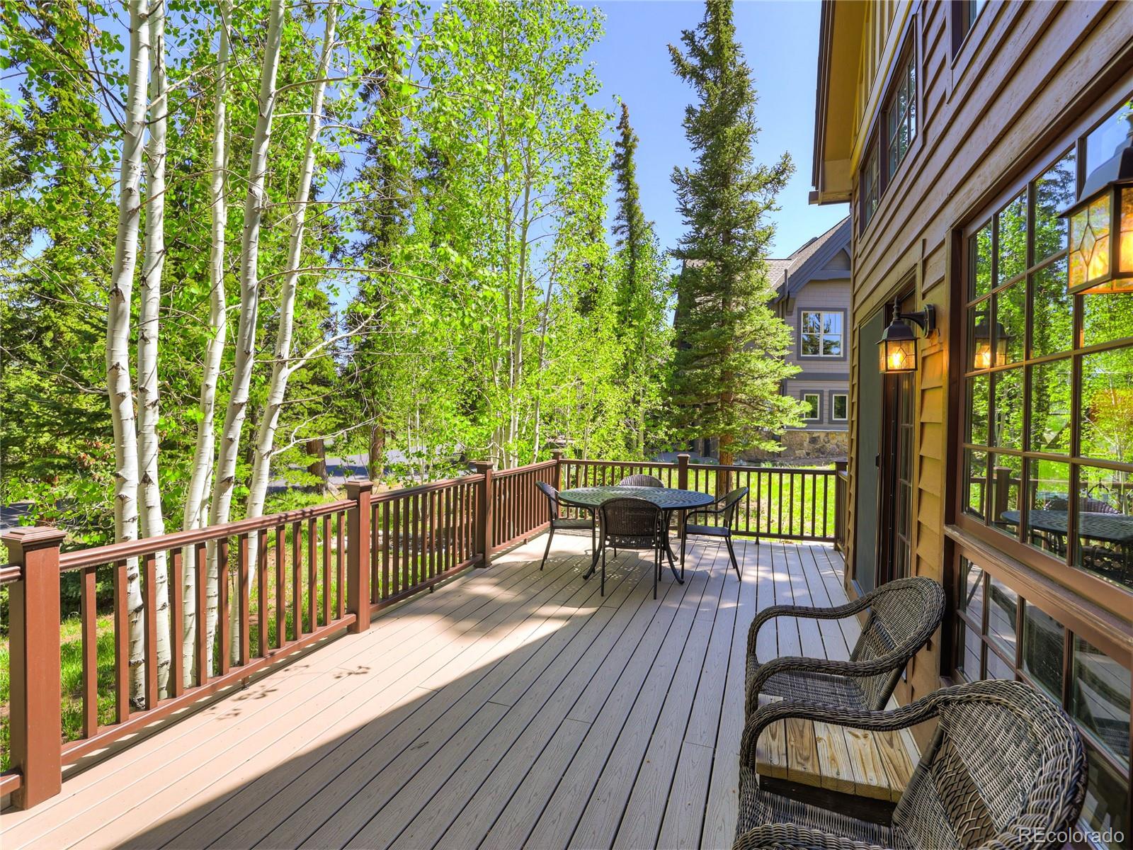 MLS Image #7 for 840  penstemon road,dillon, Colorado