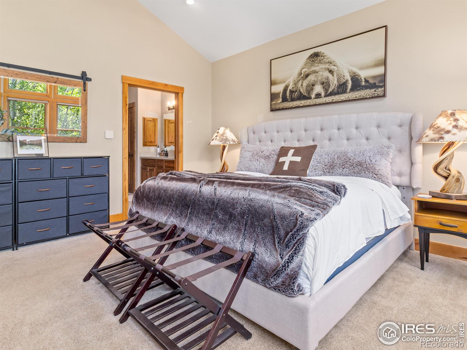 MLS Image #21 for 2325  highway 66 ,estes park, Colorado