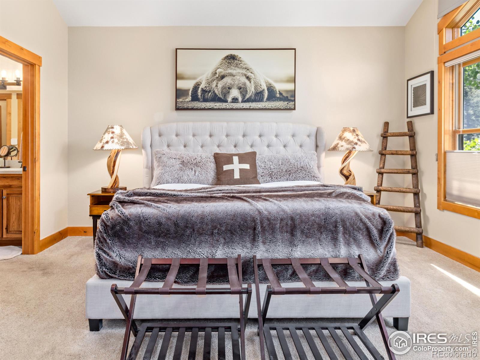 MLS Image #23 for 2325  highway 66 ,estes park, Colorado