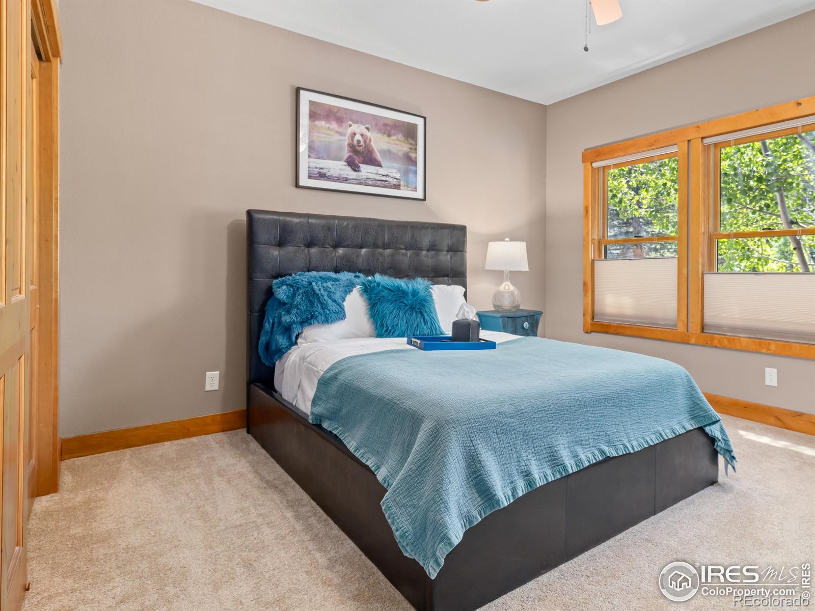 MLS Image #26 for 2325  highway 66 ,estes park, Colorado