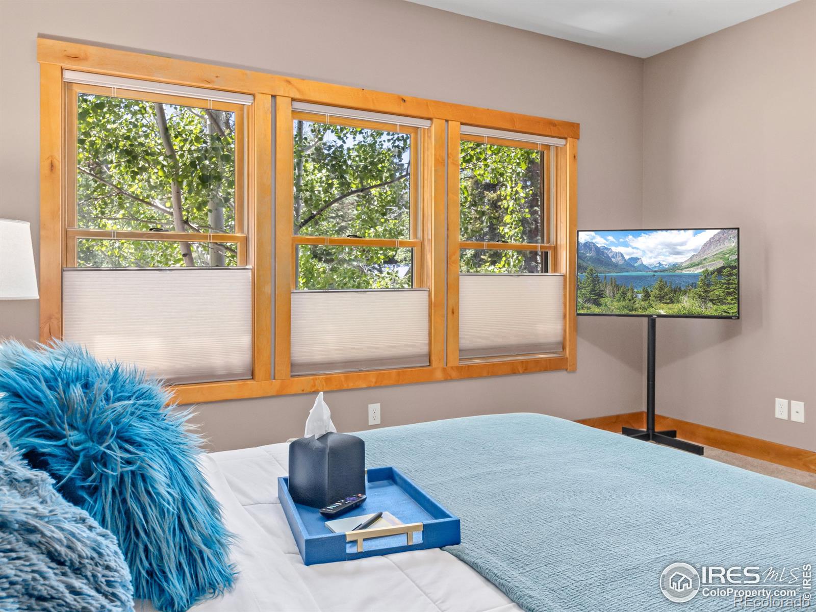 MLS Image #27 for 2325  highway 66 ,estes park, Colorado