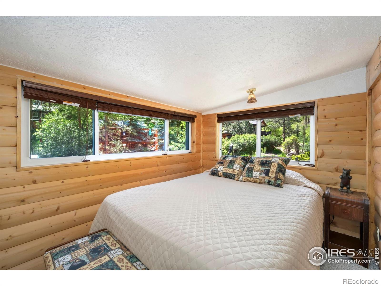 MLS Image #11 for 47  falls creek drive,bellvue, Colorado