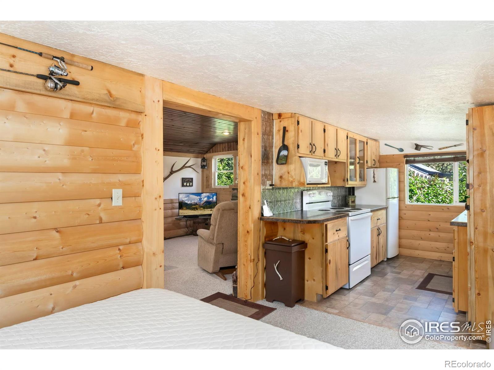 MLS Image #12 for 47  falls creek drive,bellvue, Colorado