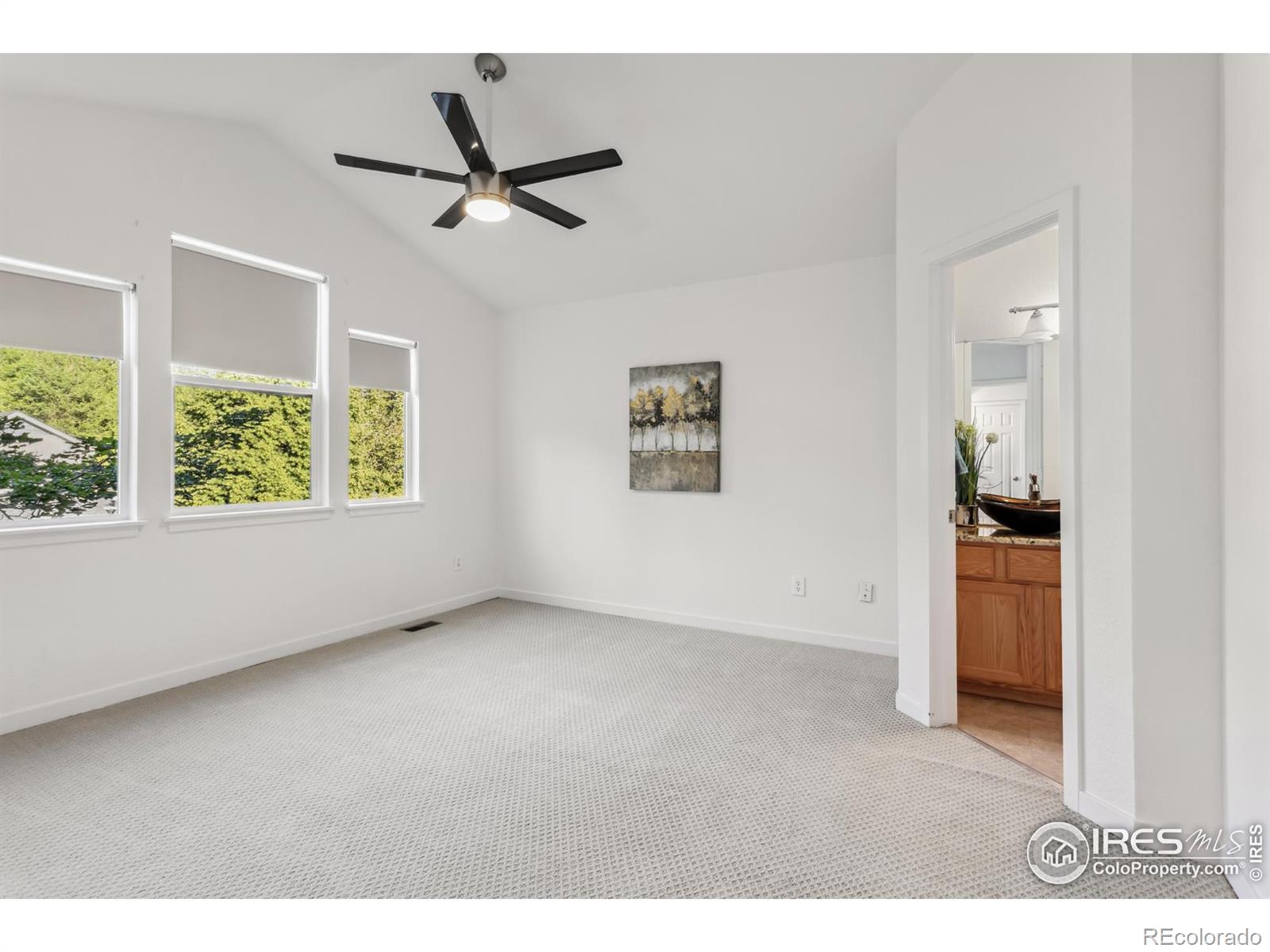 MLS Image #15 for 1993 s fork drive,lafayette, Colorado