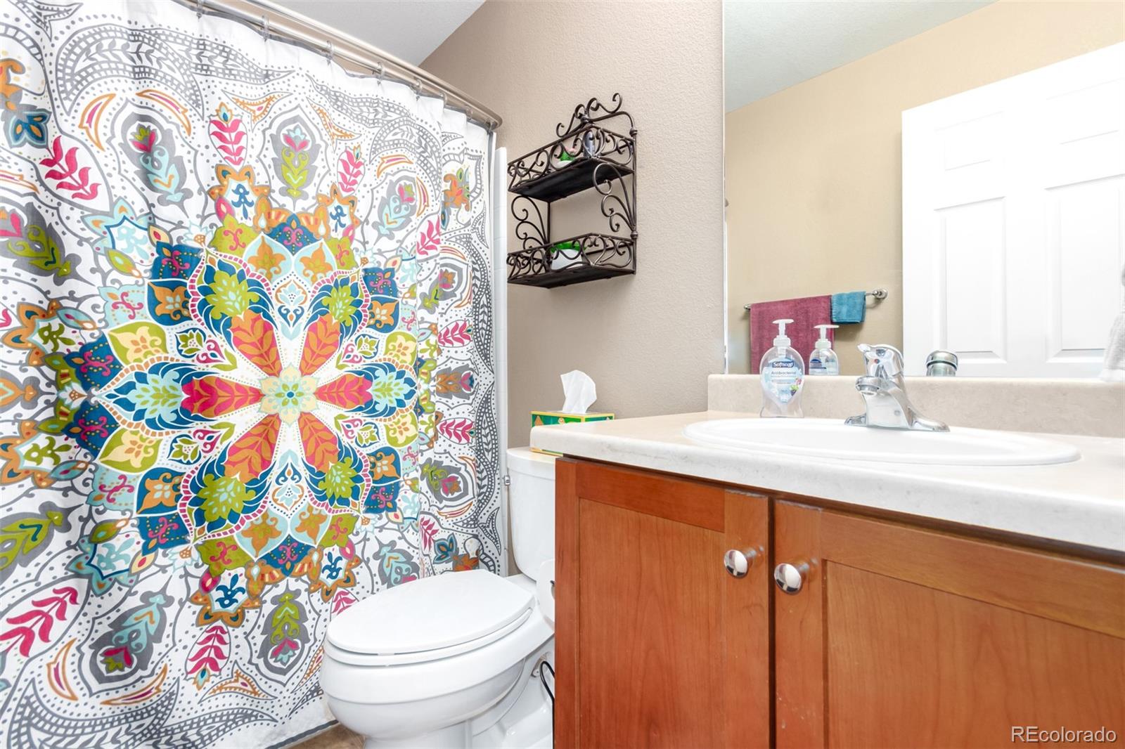 MLS Image #20 for 3505  dinosaur street,castle rock, Colorado