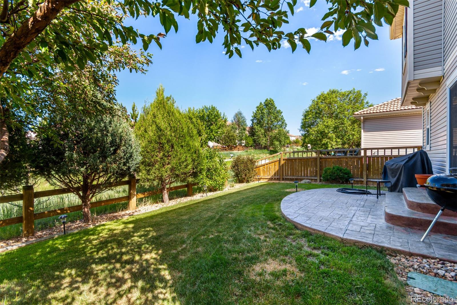 MLS Image #28 for 3505  dinosaur street,castle rock, Colorado