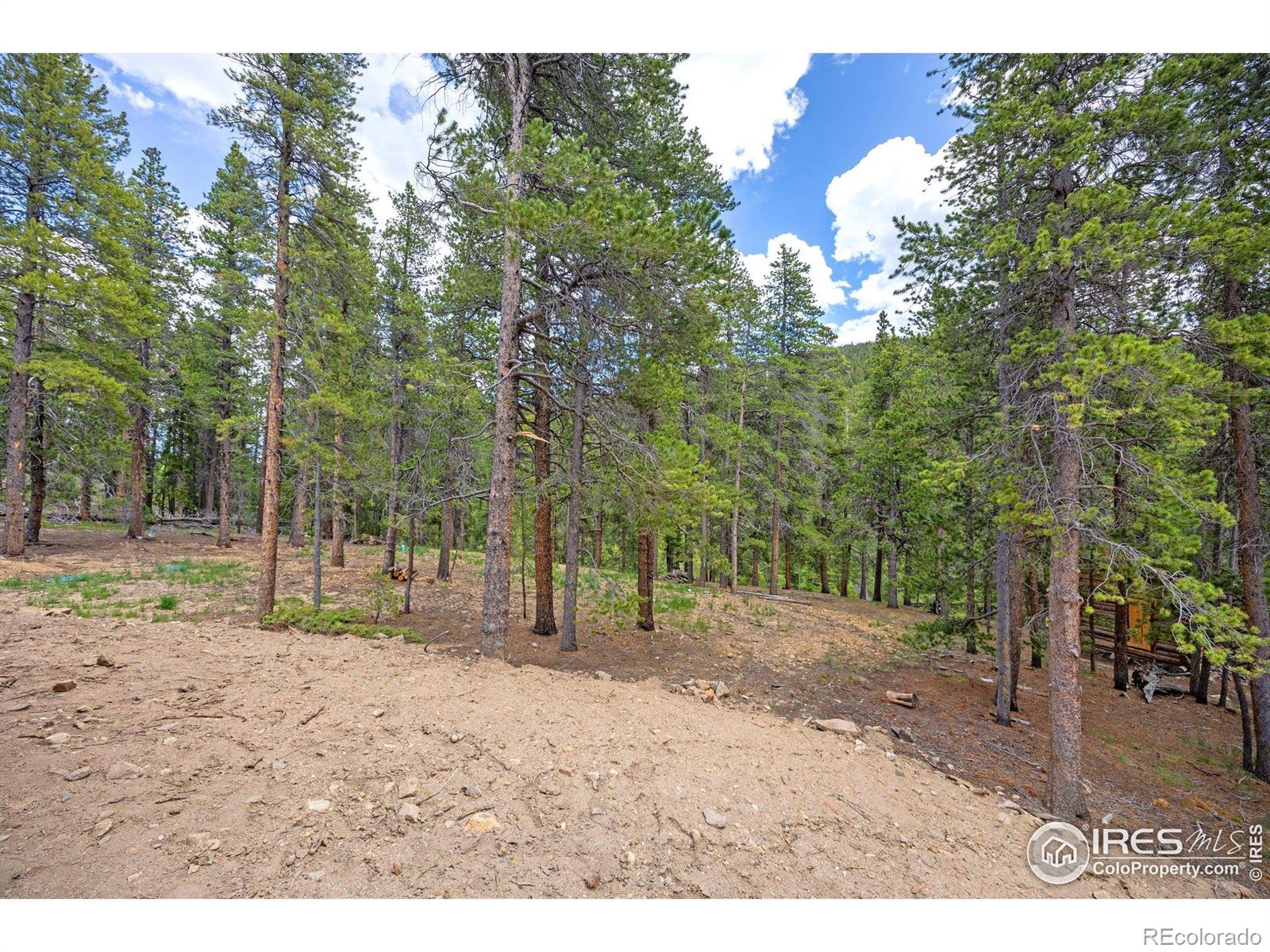 MLS Image #5 for 200  severance lodge road,black hawk, Colorado
