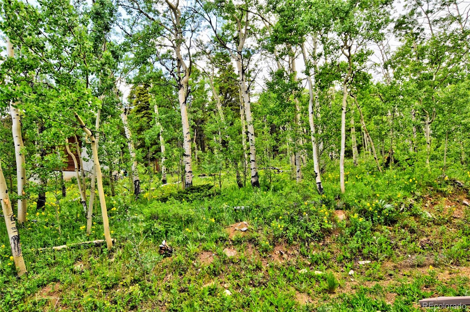 MLS Image #16 for 605  lamb mountain road,fairplay, Colorado