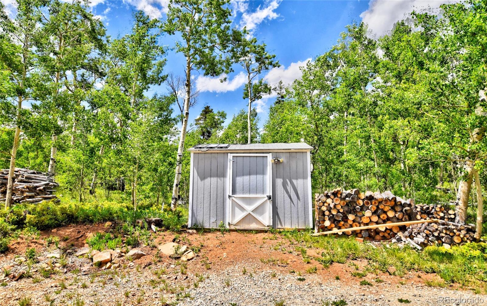 MLS Image #21 for 605  lamb mountain road,fairplay, Colorado