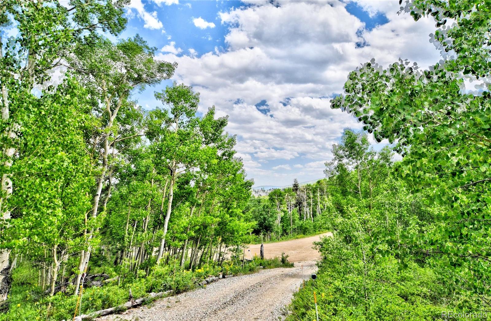 MLS Image #23 for 605  lamb mountain road,fairplay, Colorado