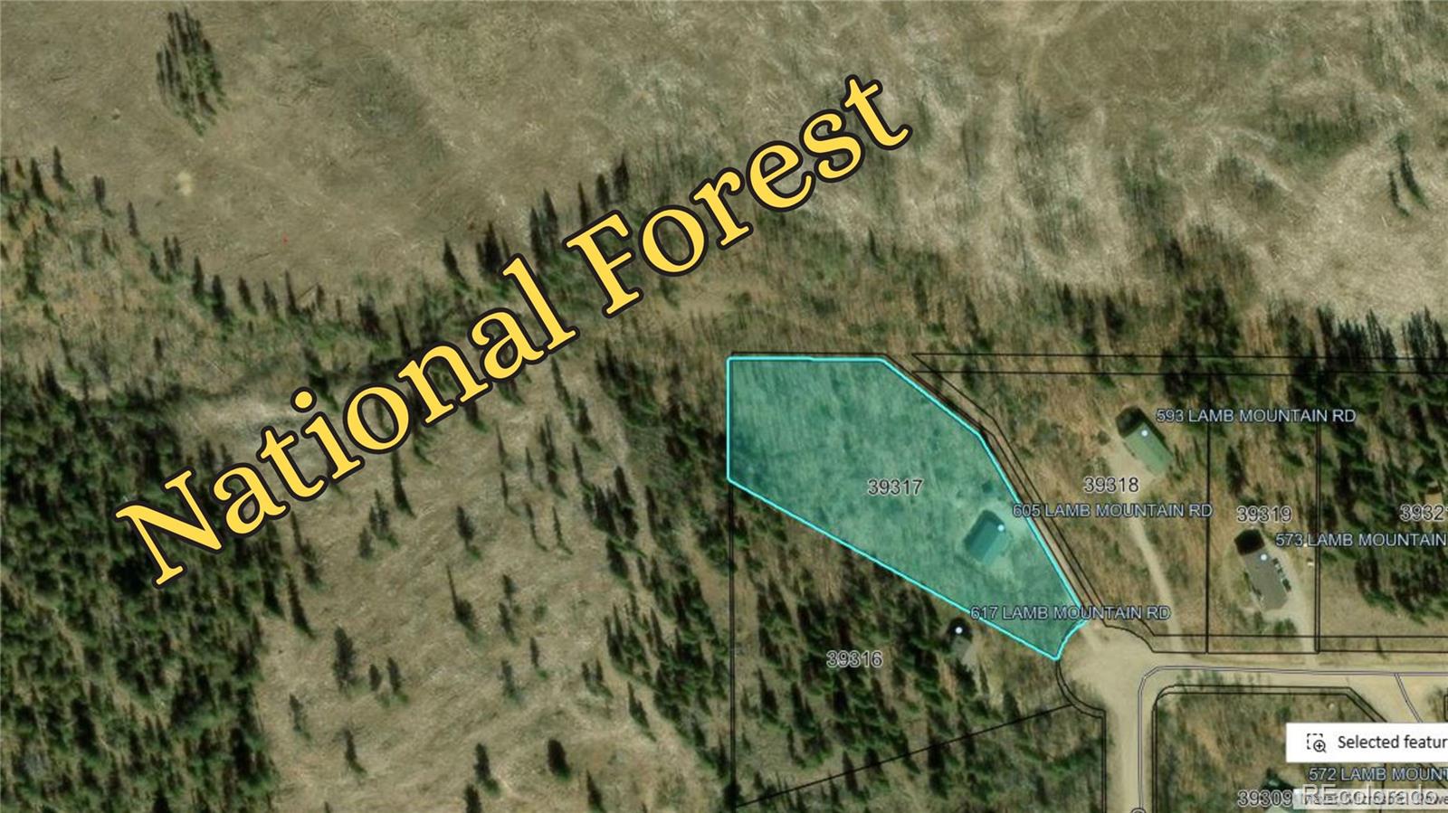 MLS Image #24 for 605  lamb mountain road,fairplay, Colorado