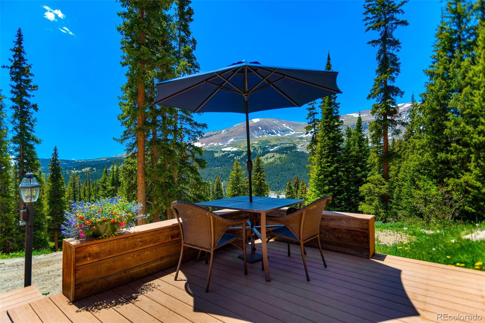 MLS Image #0 for 60  jackson ,alma, Colorado