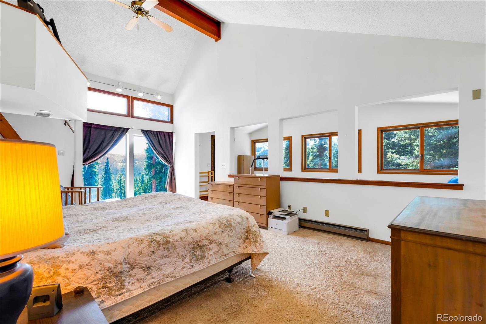 MLS Image #22 for 60  jackson ,alma, Colorado