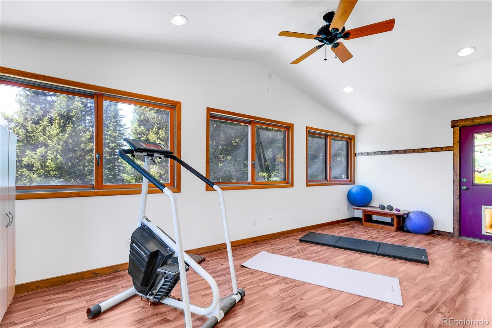 MLS Image #24 for 60  jackson ,alma, Colorado