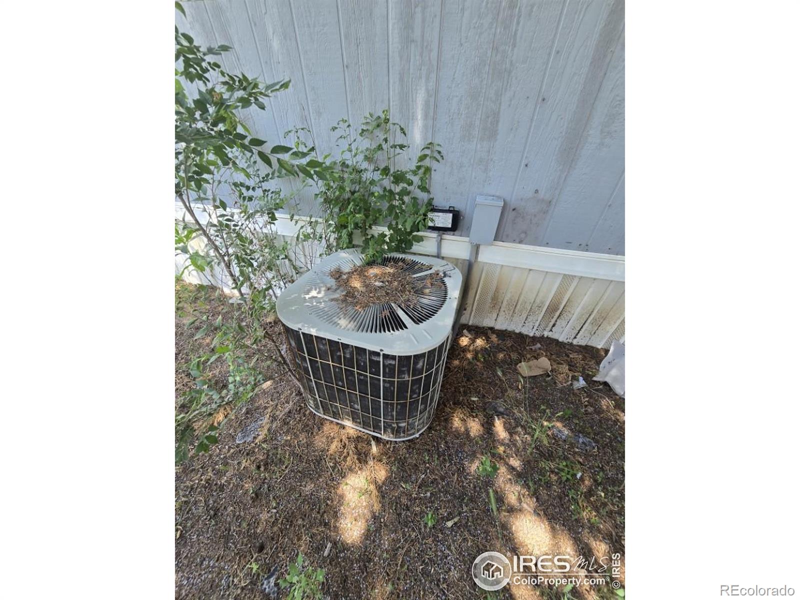 MLS Image #5 for 2036  1st avenue,greeley, Colorado