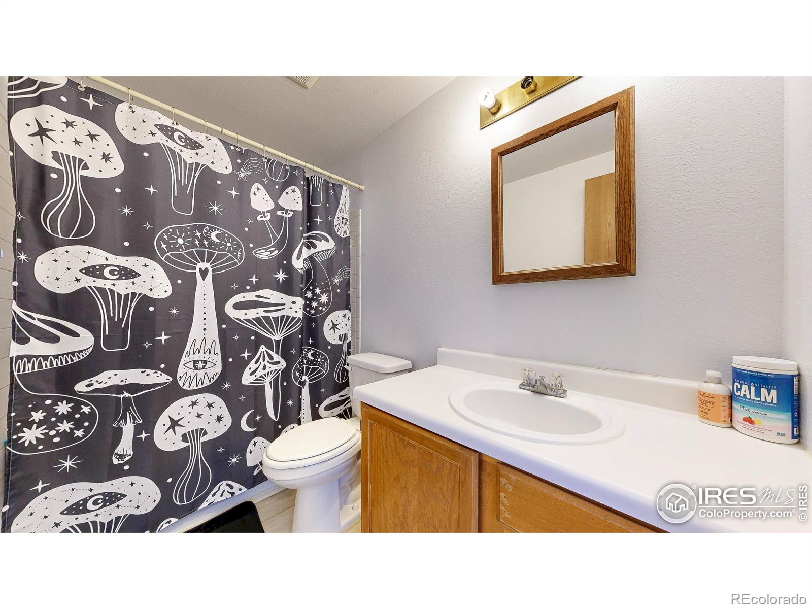 MLS Image #23 for 2027  churchill court,fort collins, Colorado