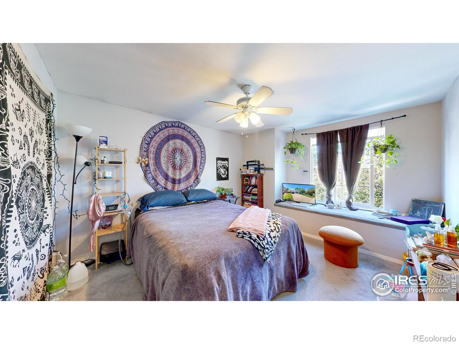 MLS Image #24 for 2027  churchill court,fort collins, Colorado