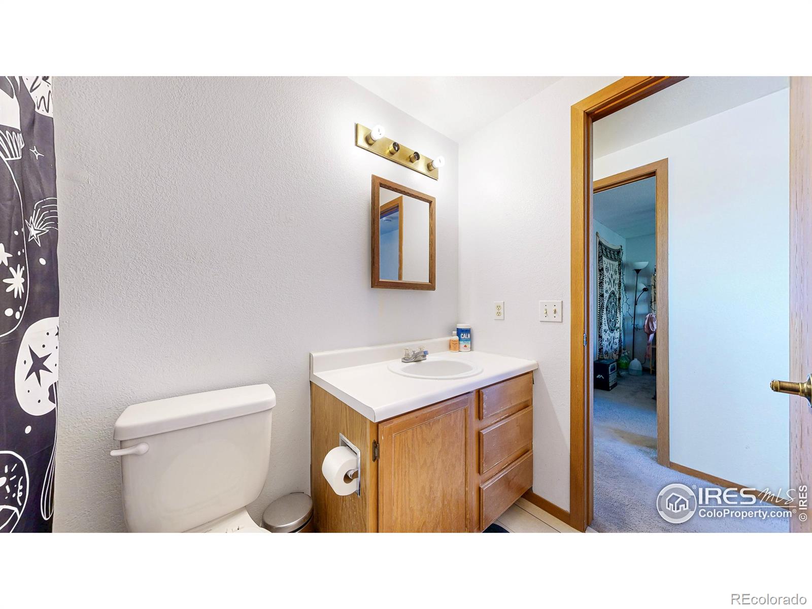 MLS Image #28 for 2027  churchill court,fort collins, Colorado