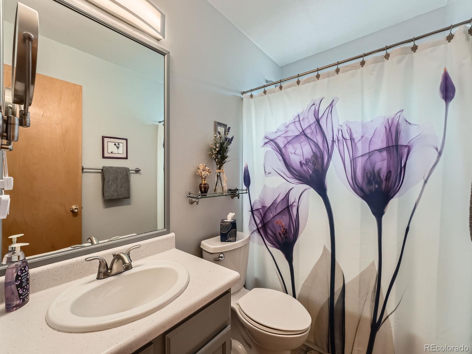 MLS Image #20 for 3691  bucknell drive,highlands ranch, Colorado