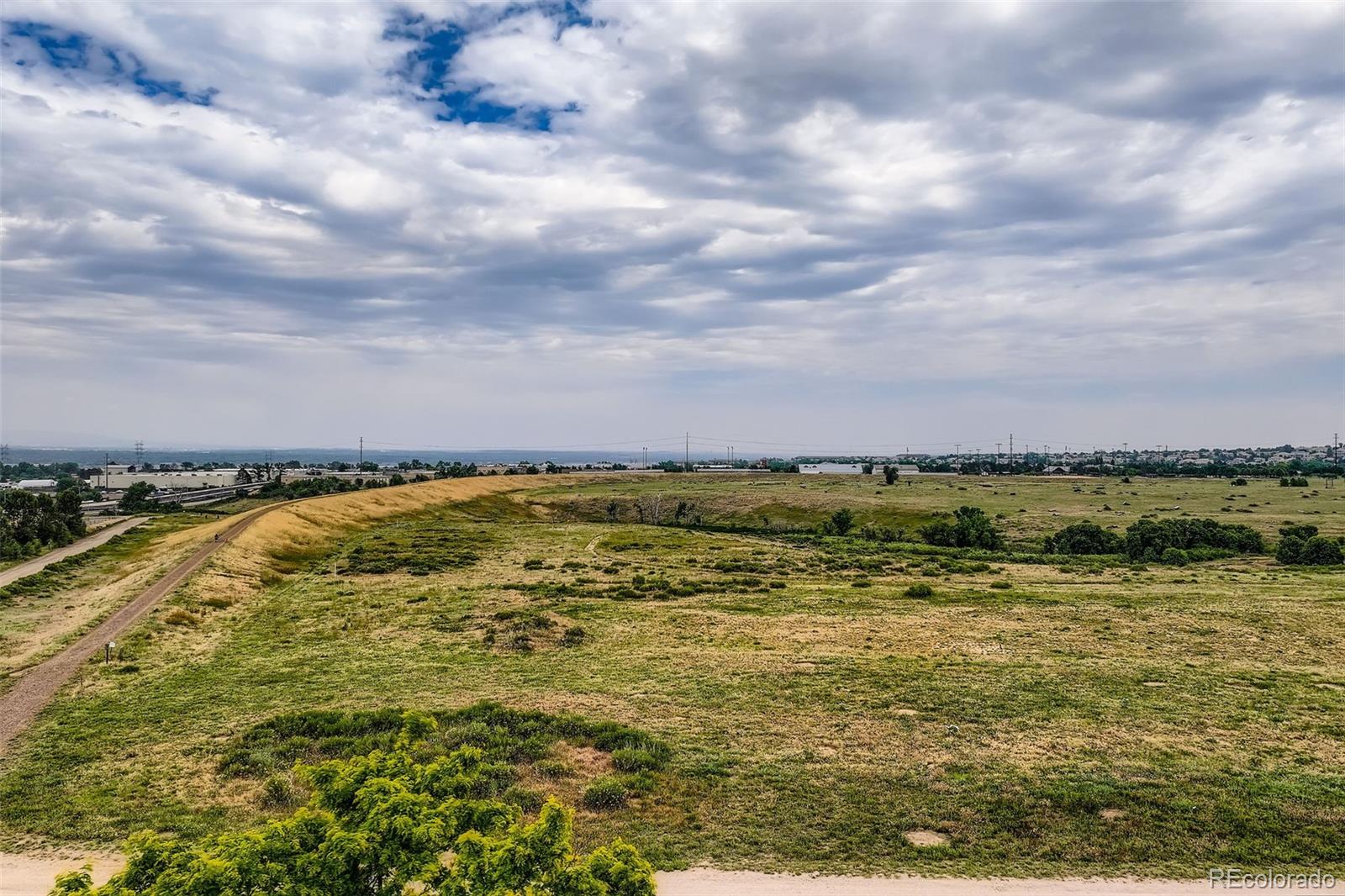MLS Image #42 for 3691  bucknell drive,highlands ranch, Colorado