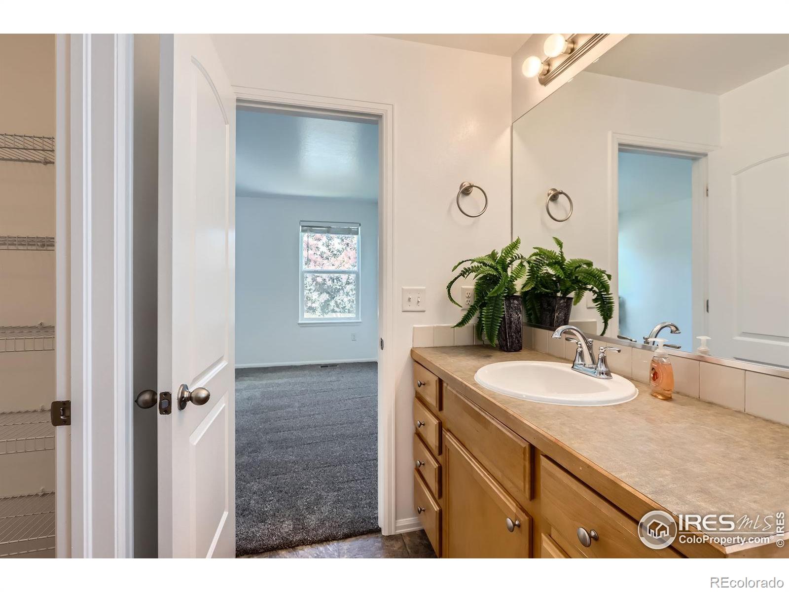 MLS Image #19 for 2244  woodbury lane,fort collins, Colorado