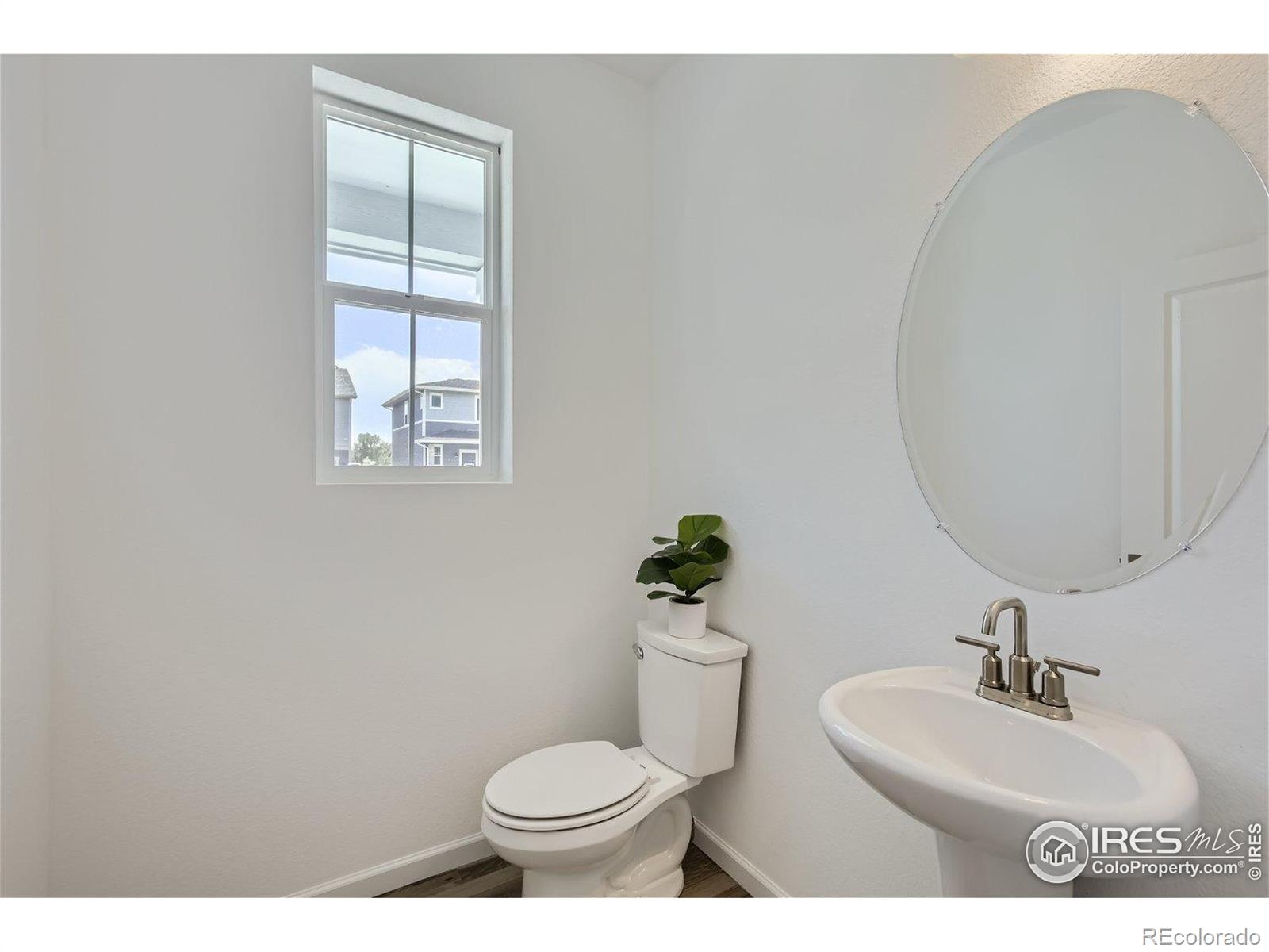 MLS Image #8 for 3514  royal troon avenue,fort collins, Colorado