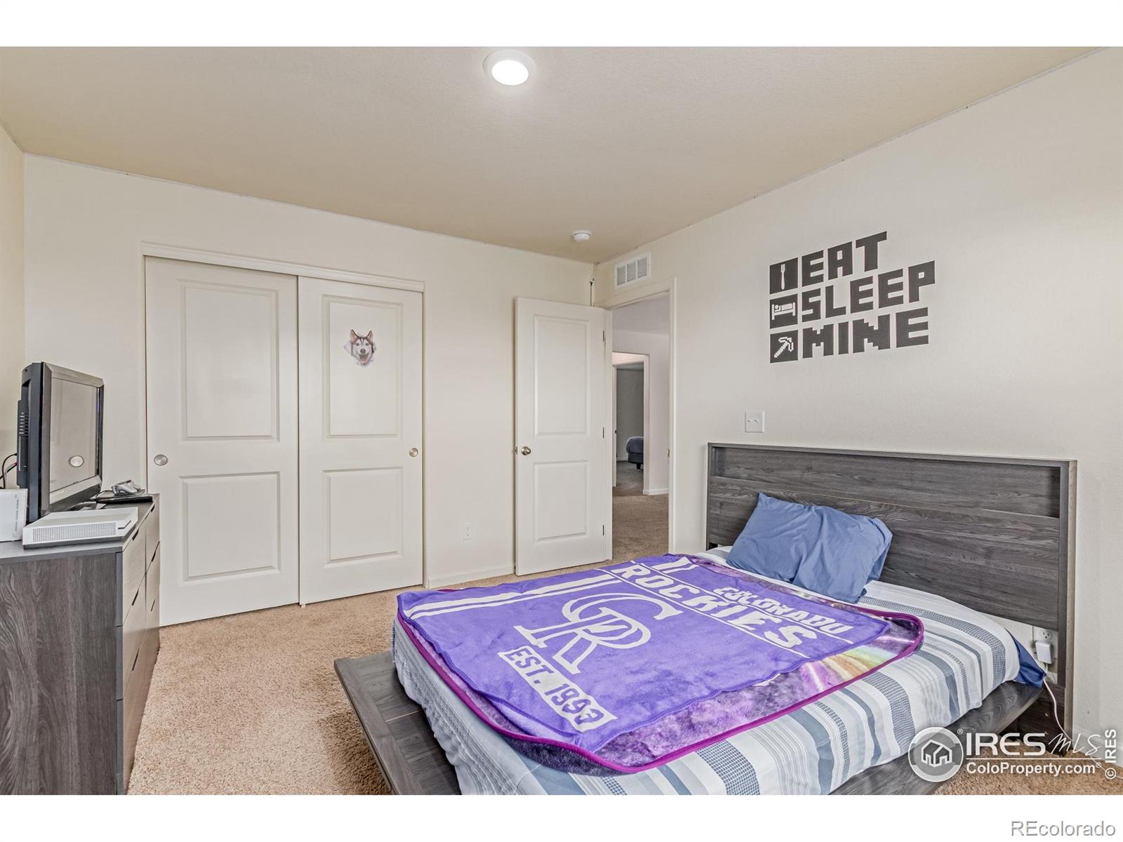 MLS Image #19 for 7414  blue river avenue,frederick, Colorado