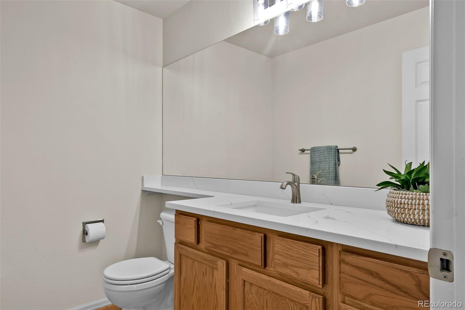 MLS Image #17 for 1460  lily lake drive,colorado springs, Colorado