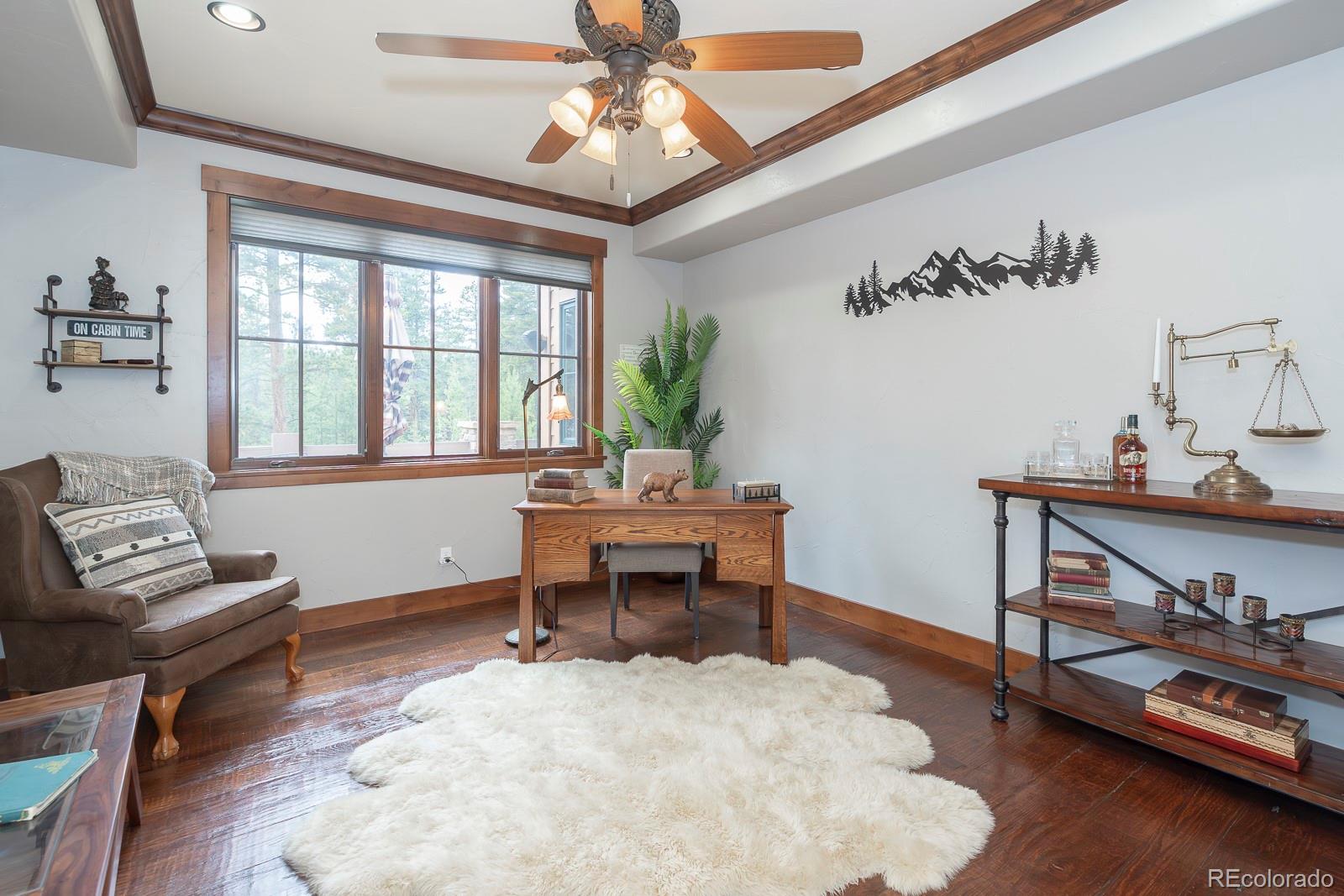MLS Image #17 for 672  51 gcr / pole creek drive,fraser, Colorado