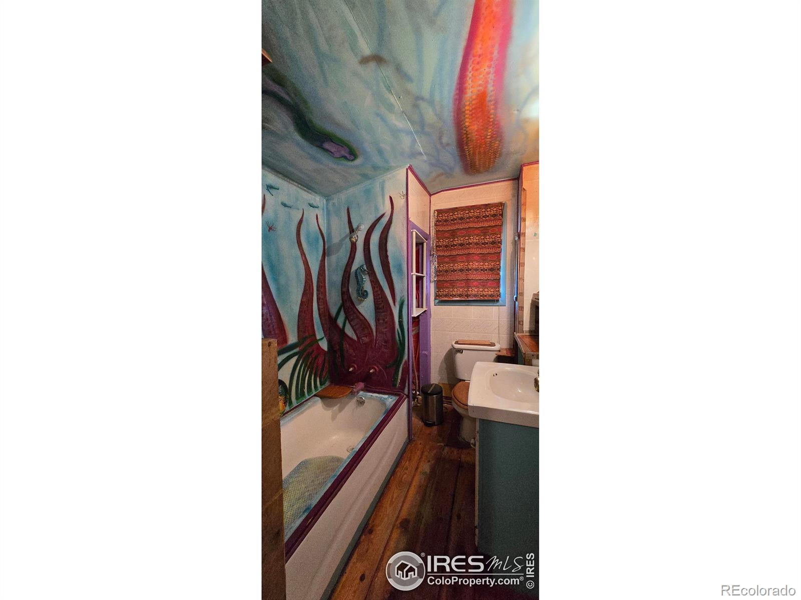 MLS Image #9 for 224 s curtis street,brush, Colorado