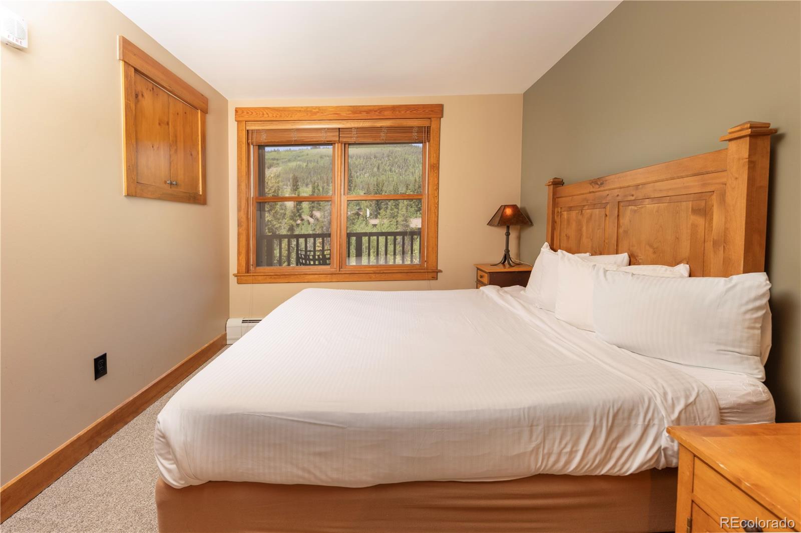 MLS Image #13 for 53  hunki dori court,keystone, Colorado
