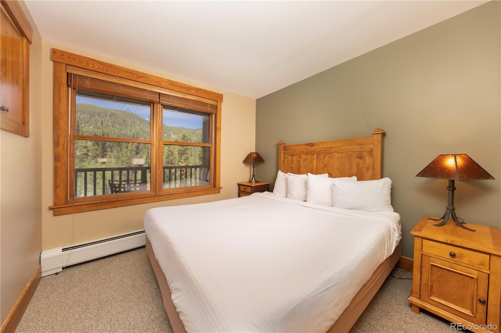 MLS Image #14 for 53  hunki dori court,keystone, Colorado