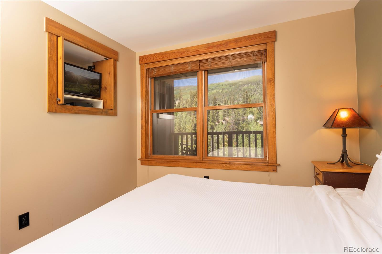 MLS Image #15 for 53  hunki dori court,keystone, Colorado
