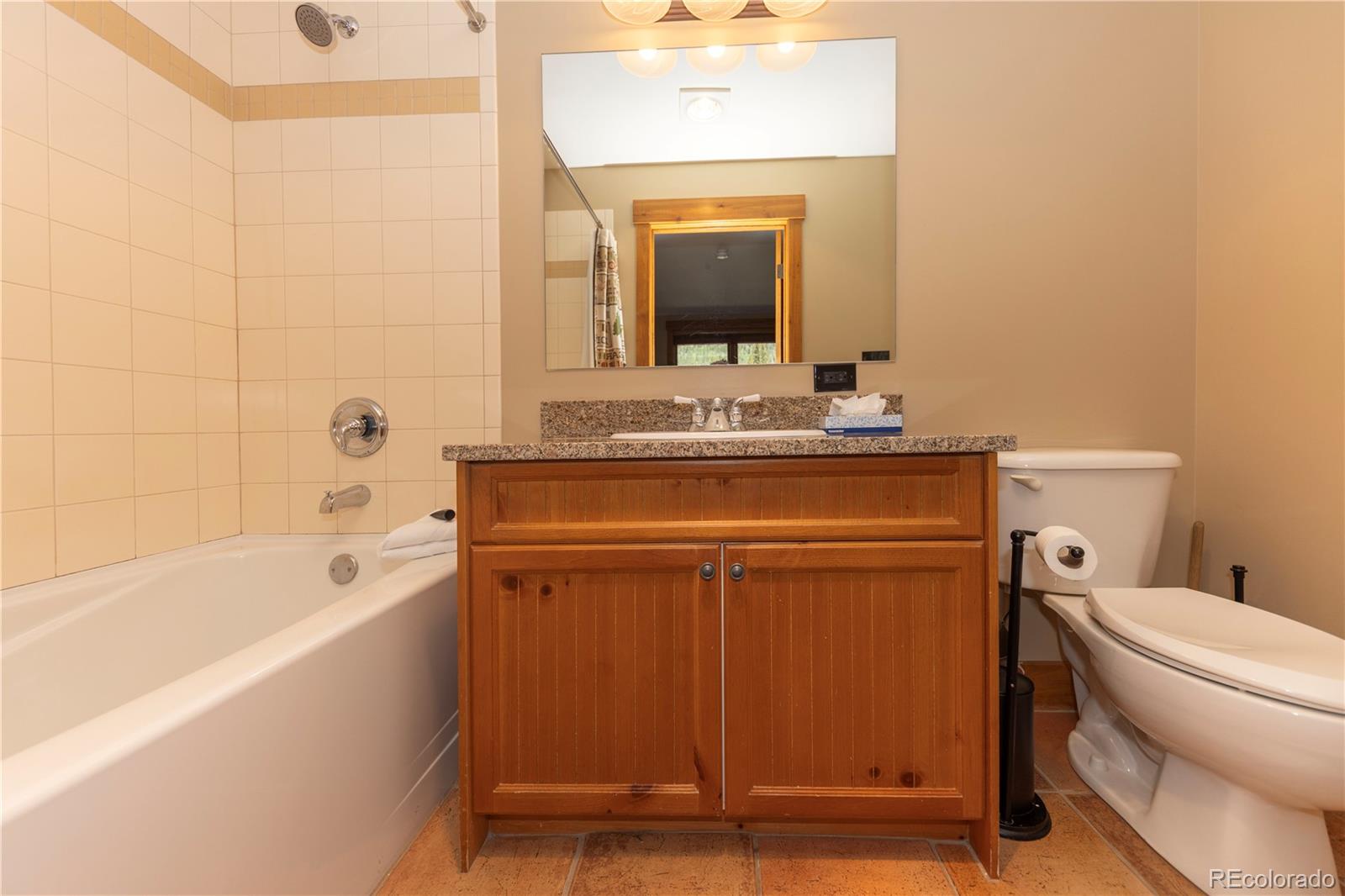 MLS Image #16 for 53  hunki dori court,keystone, Colorado