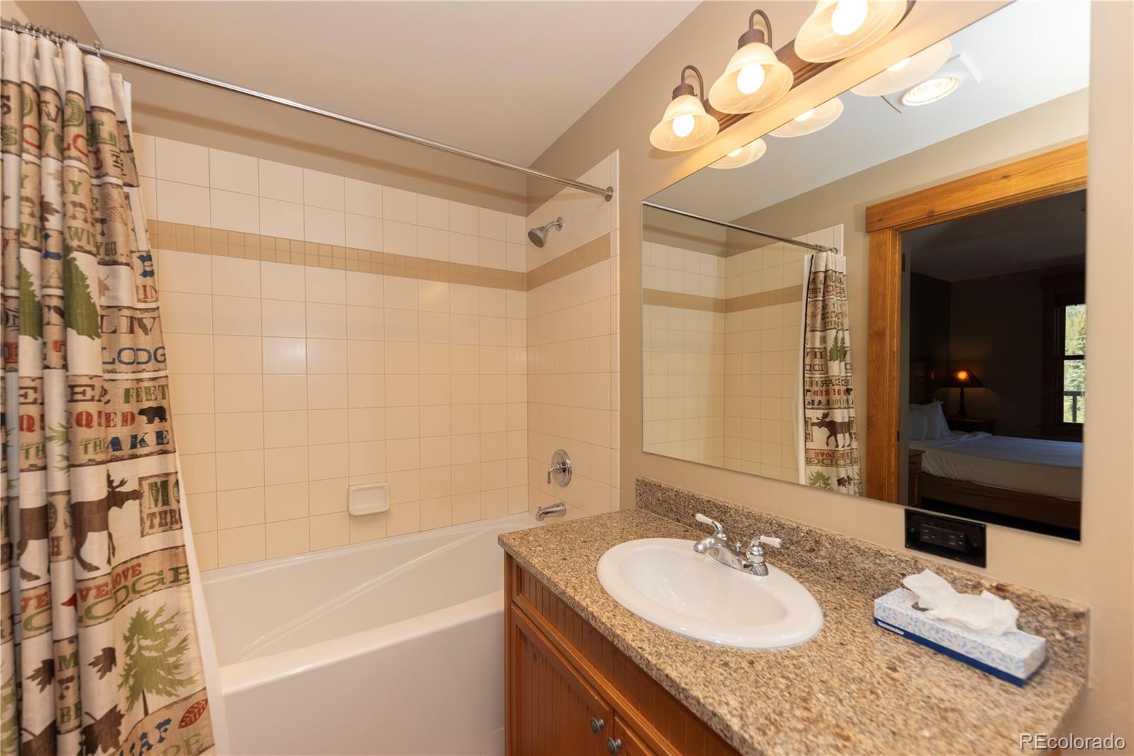 MLS Image #17 for 53  hunki dori court,keystone, Colorado