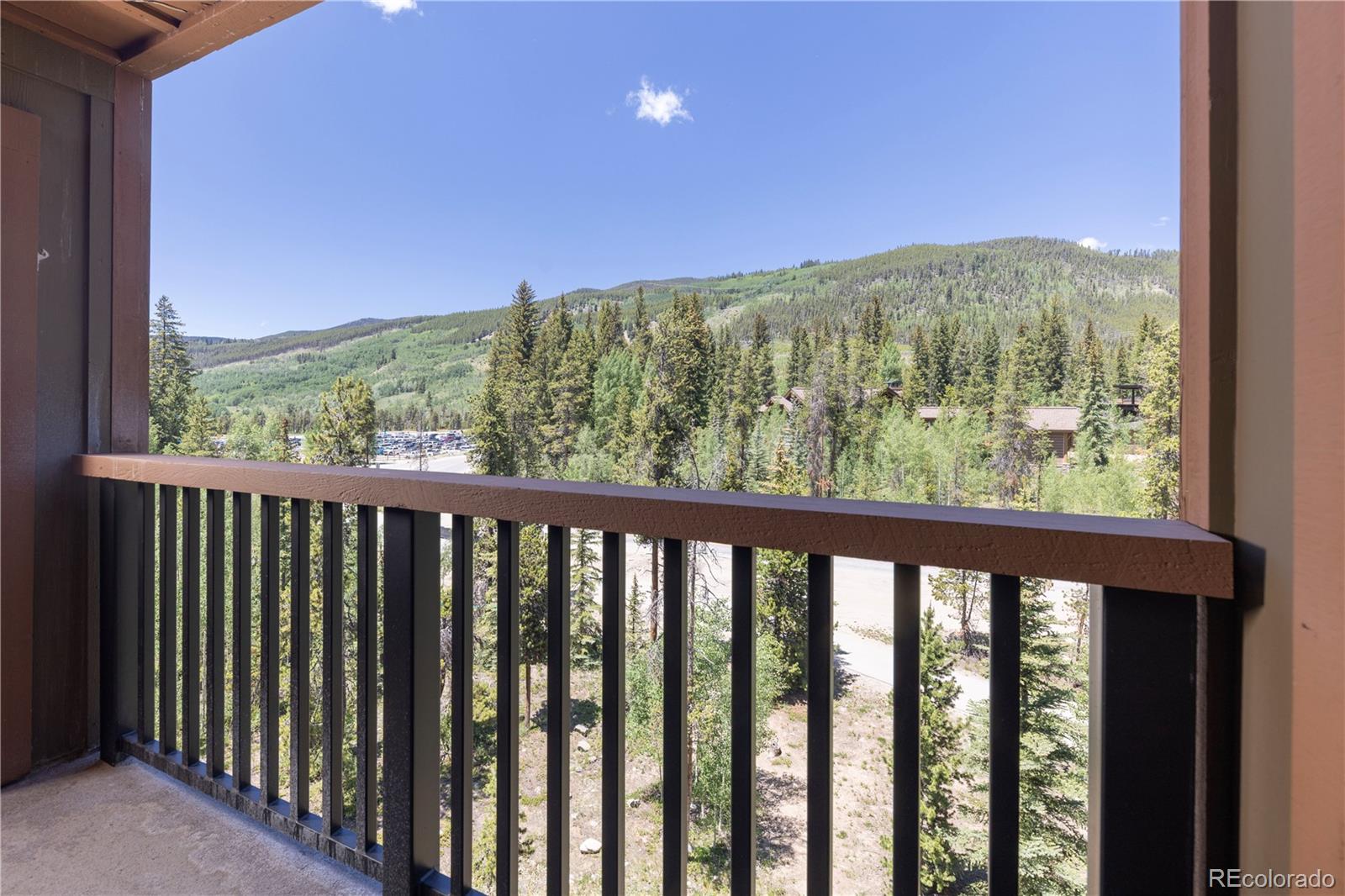 MLS Image #22 for 53  hunki dori court,keystone, Colorado