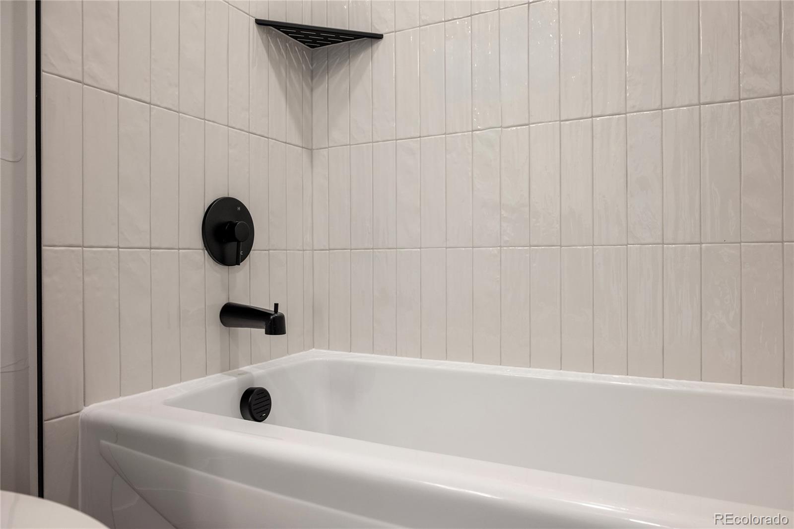 MLS Image #21 for 12  wheeler road,winter park, Colorado
