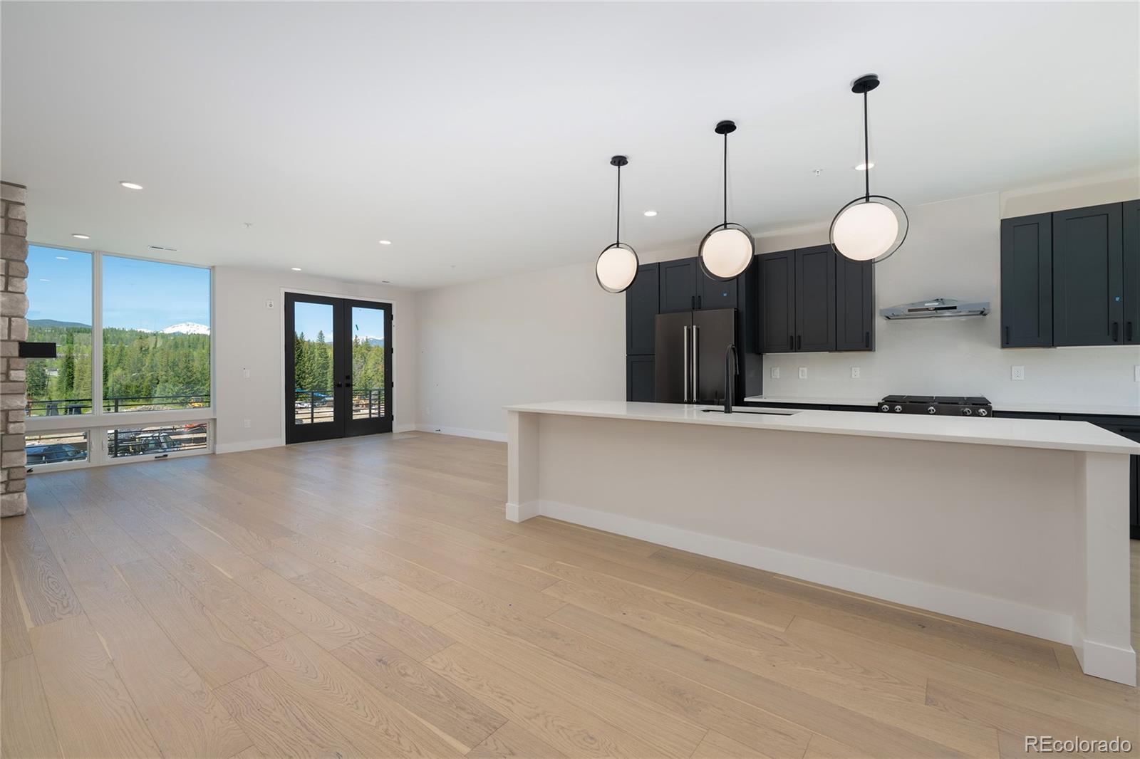 MLS Image #3 for 12  wheeler road,winter park, Colorado