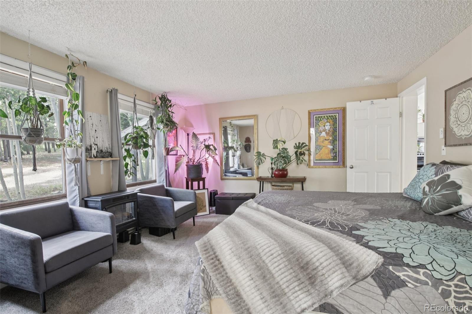 MLS Image #14 for 1021  lodge pole drive,black hawk, Colorado