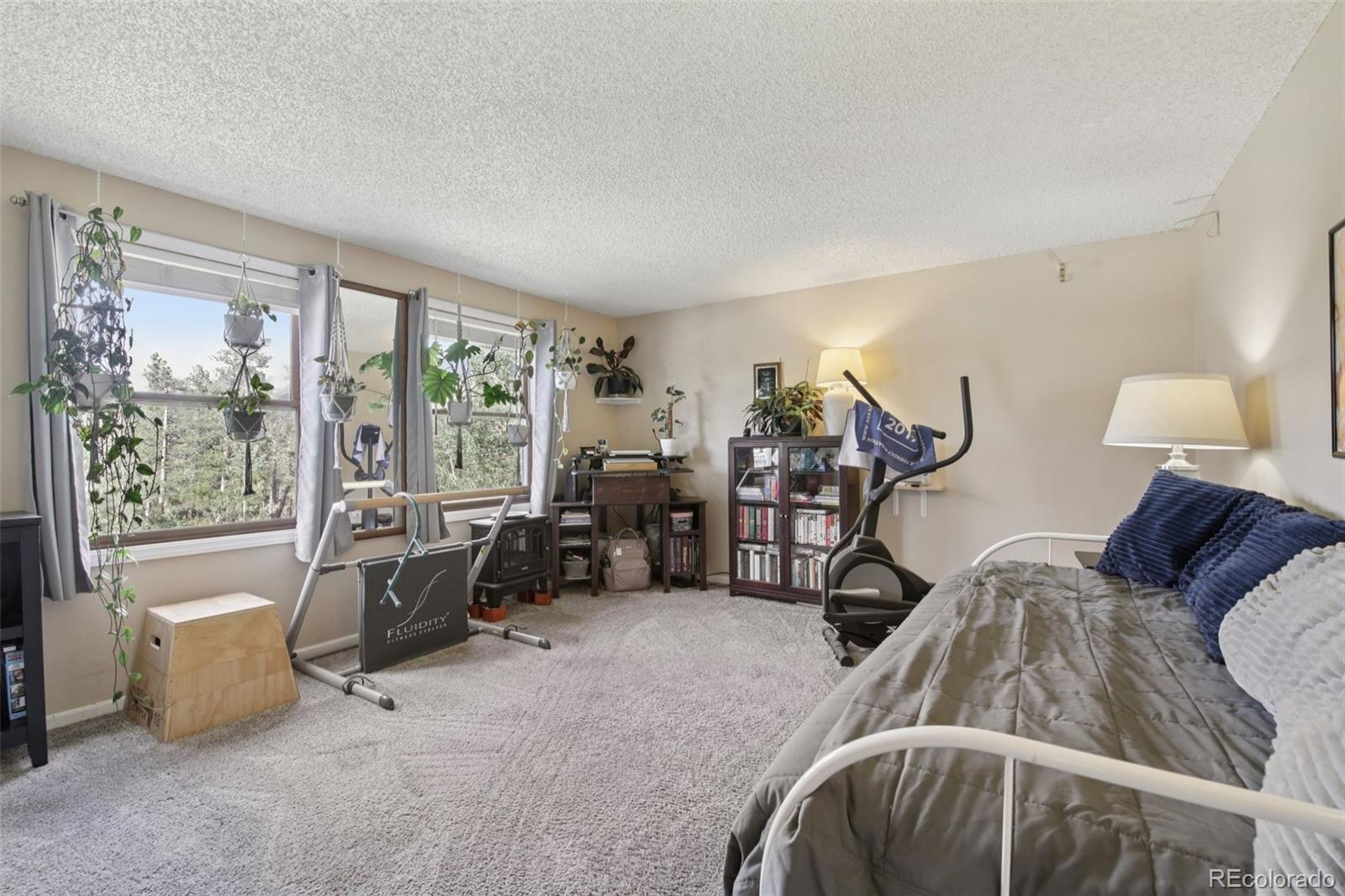 MLS Image #18 for 1021  lodge pole drive,black hawk, Colorado