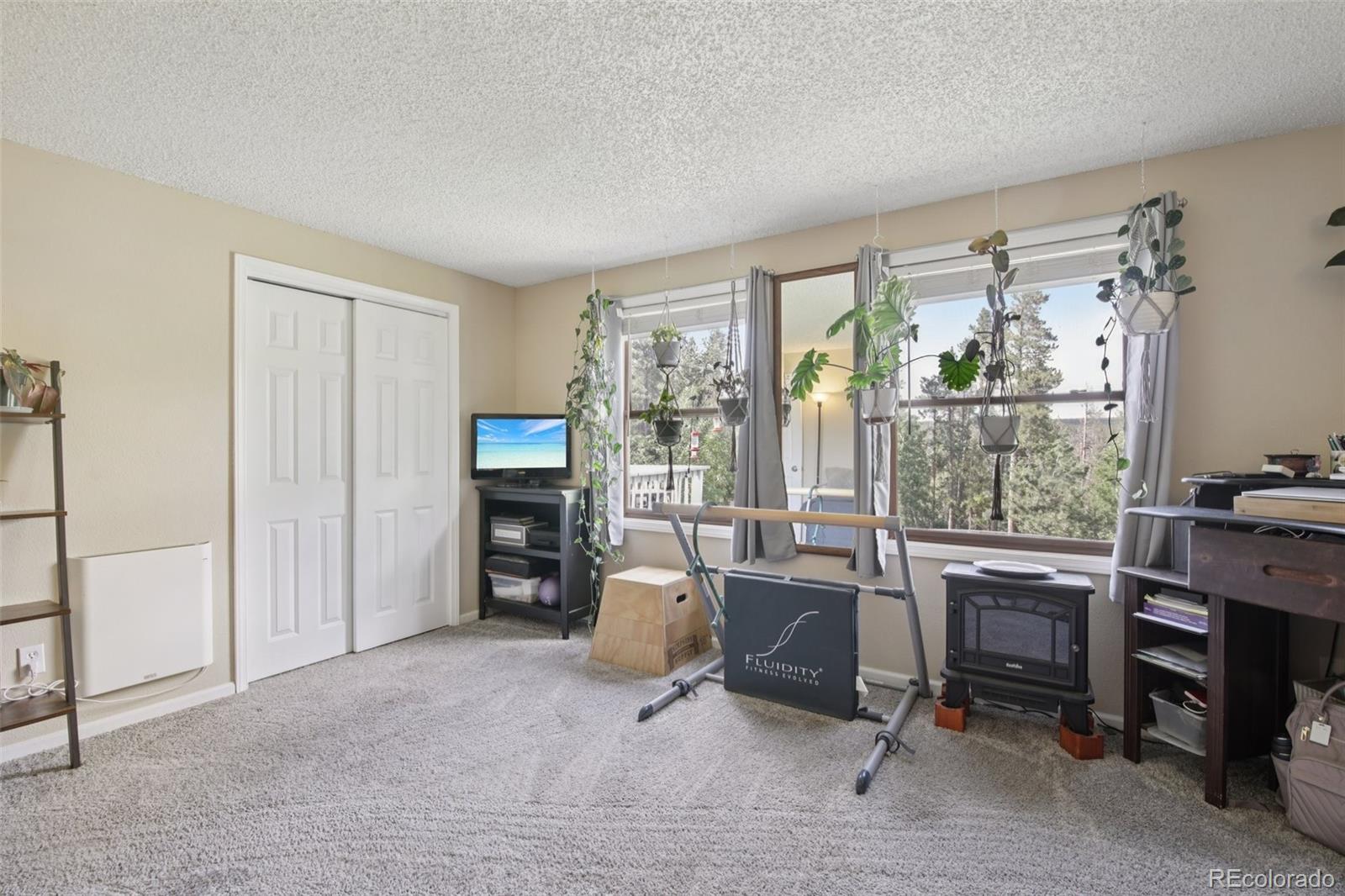 MLS Image #19 for 1021  lodge pole drive,black hawk, Colorado
