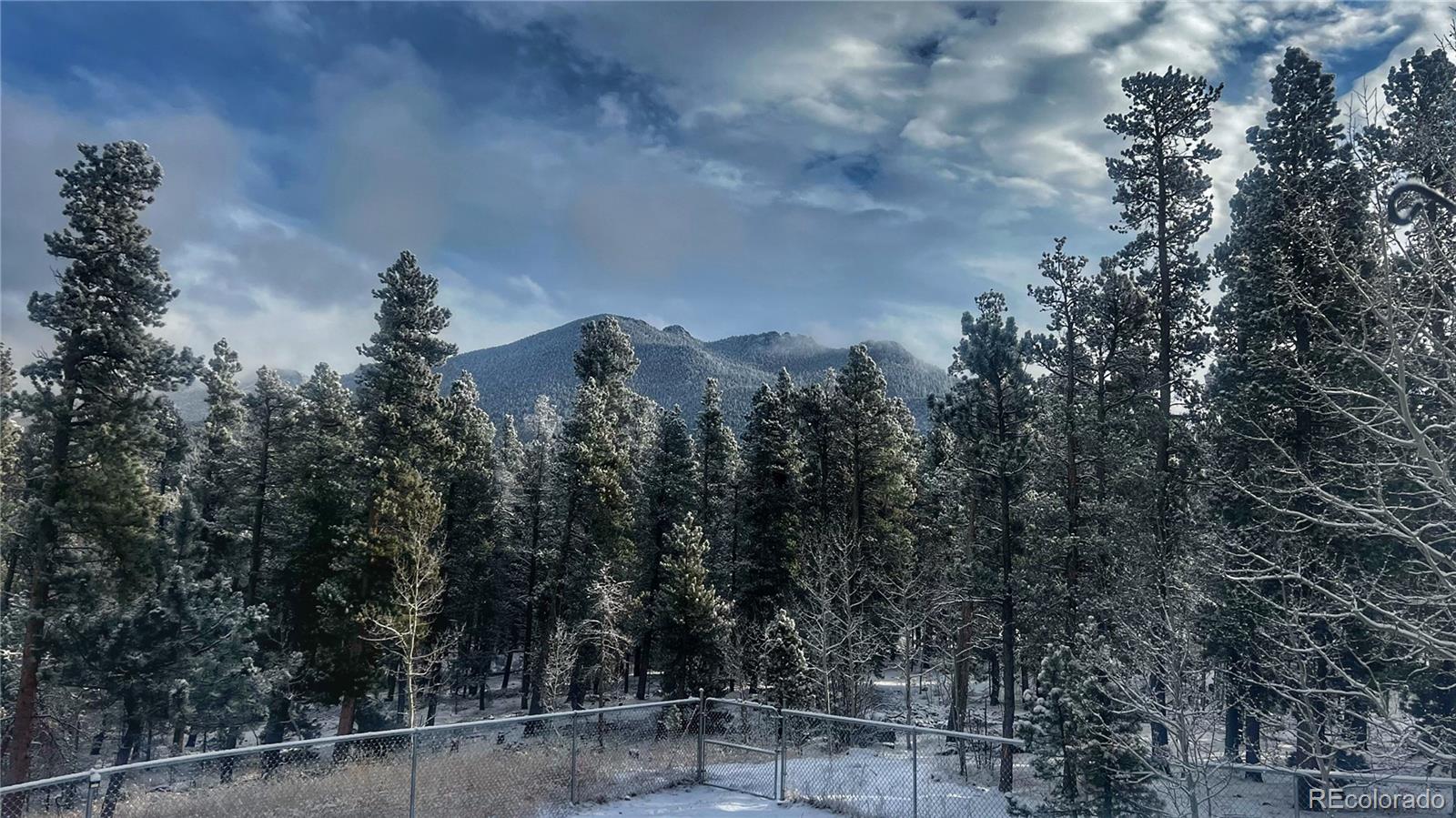 MLS Image #39 for 1021  lodge pole drive,black hawk, Colorado