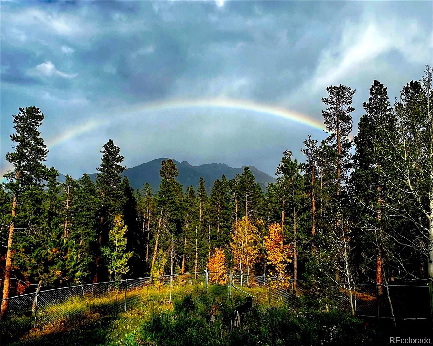 MLS Image #46 for 1021  lodge pole drive,black hawk, Colorado
