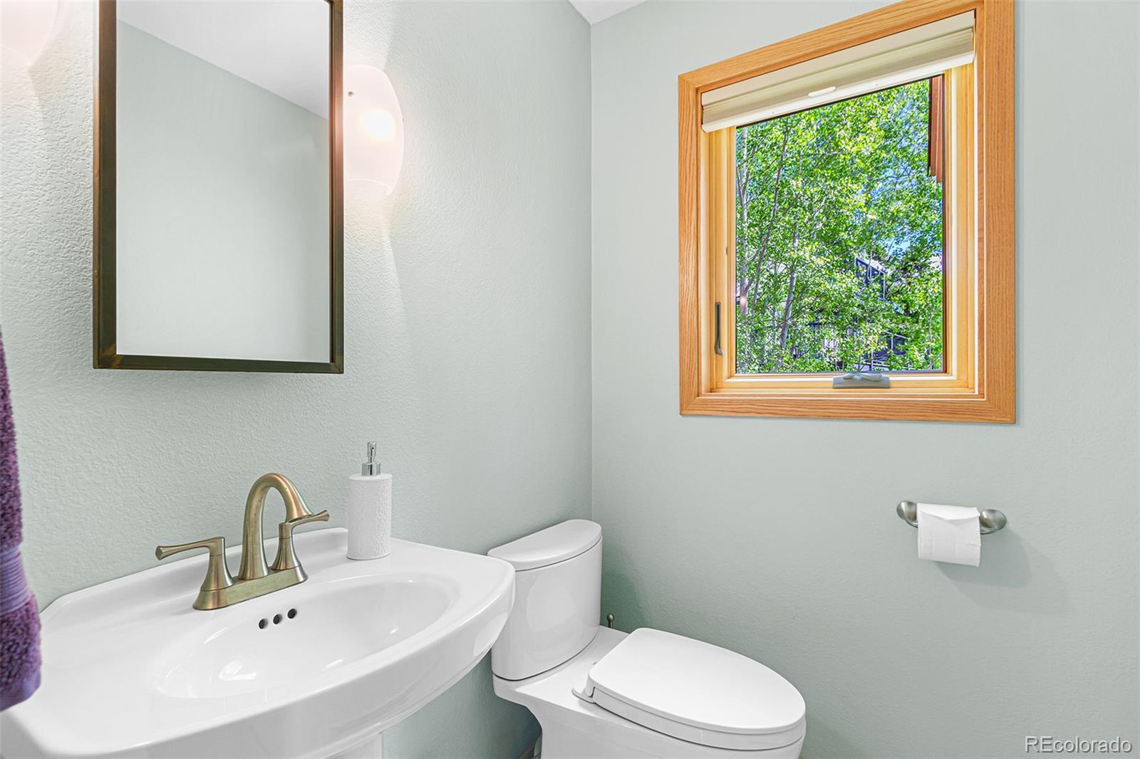 MLS Image #15 for 87  spring beauty drive,silverthorne, Colorado