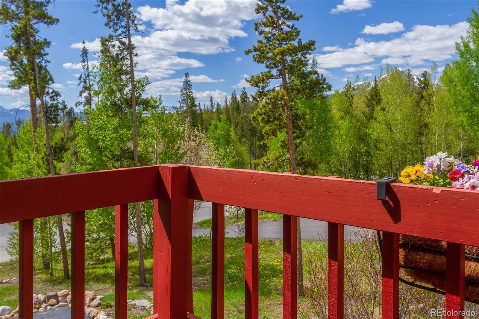 MLS Image #20 for 87  spring beauty drive,silverthorne, Colorado