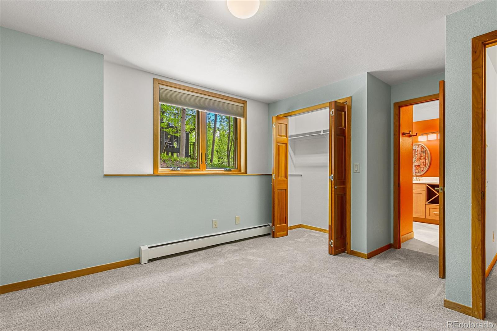 MLS Image #27 for 87  spring beauty drive,silverthorne, Colorado