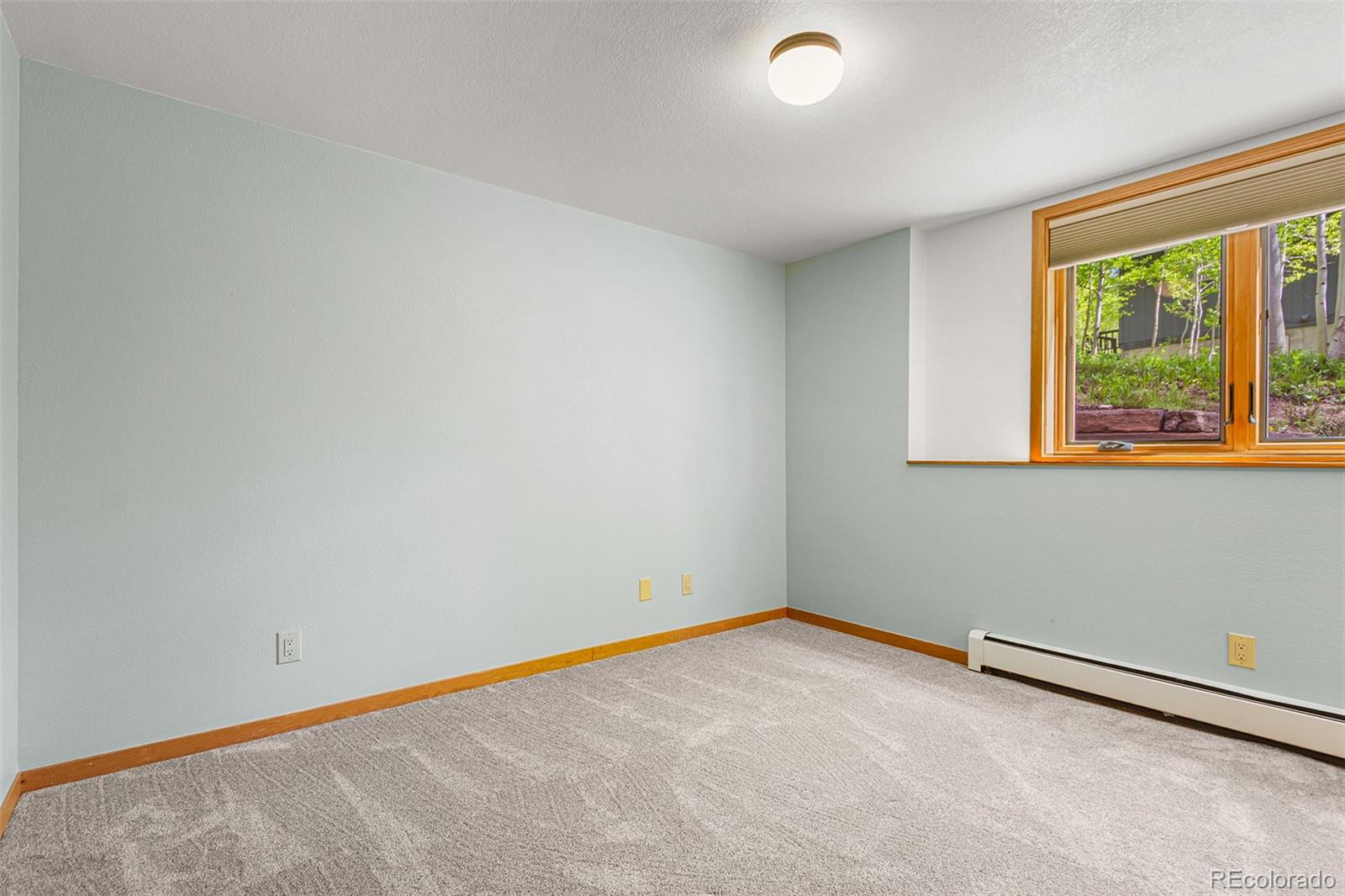 MLS Image #28 for 87  spring beauty drive,silverthorne, Colorado