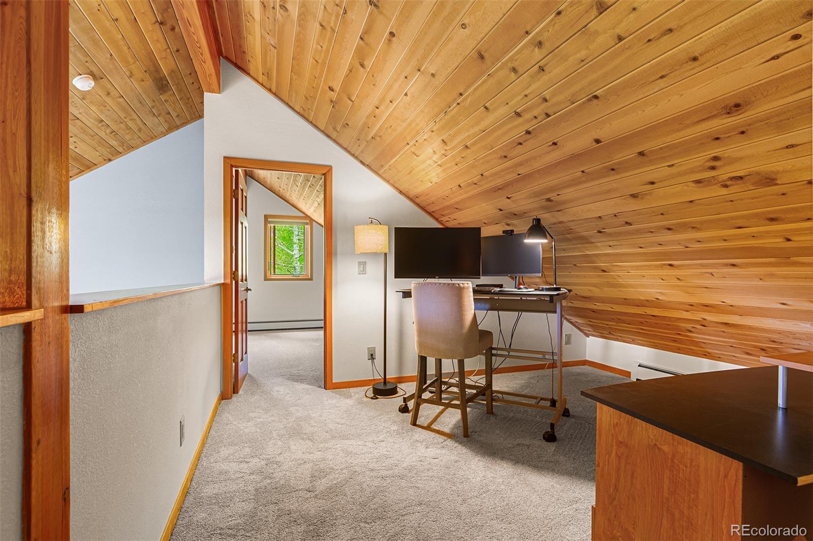 MLS Image #29 for 87  spring beauty drive,silverthorne, Colorado